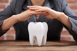 Альвеола зуба, ее строение и функции